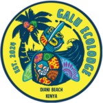 Galu-ecolodge-Privates-Dorms-Bungalows